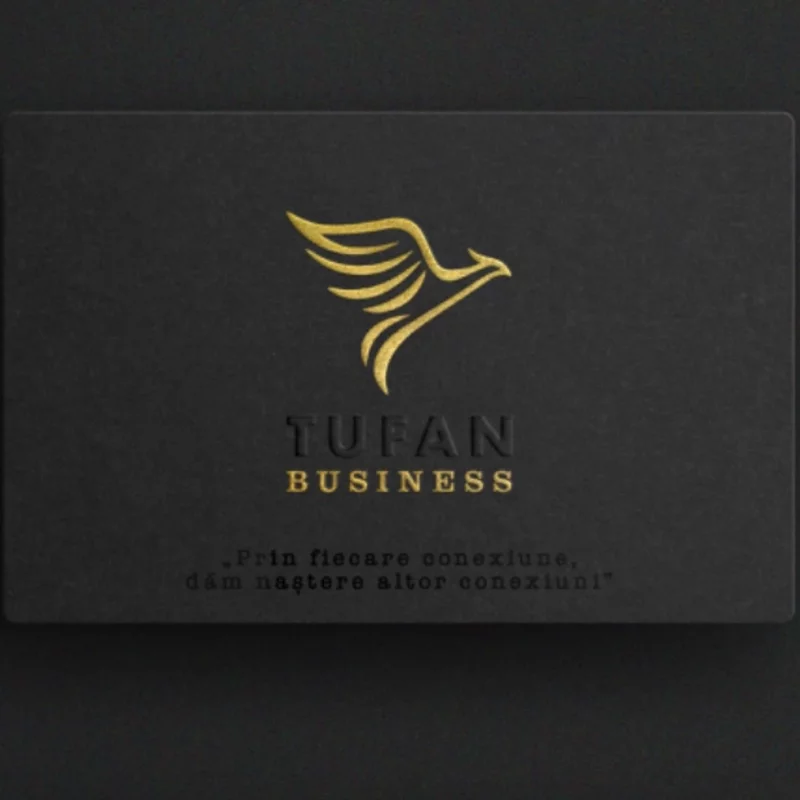 Electrician si ajutor electrician.